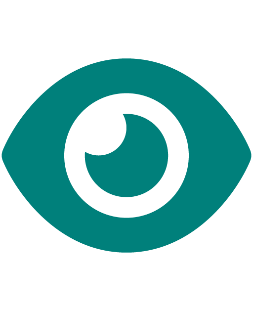 Icon of an eye