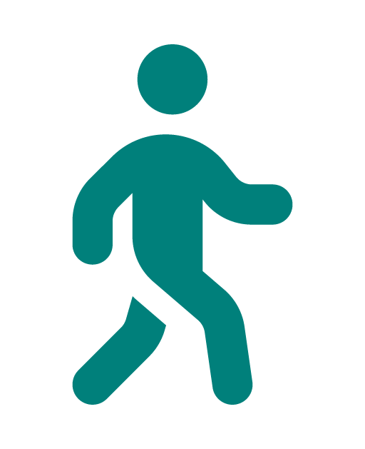 Icon of someone walking
